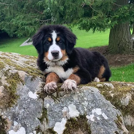 St Kyrans 호텔 버지니아