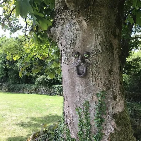 St Kyrans 버지니아