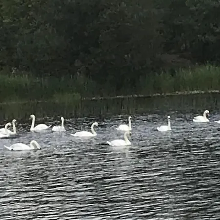 St Kyrans 5* فرجينيا