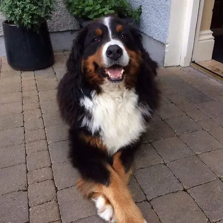 St Kyrans فندق 5*