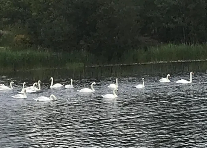 St Kyrans 5* Virginia