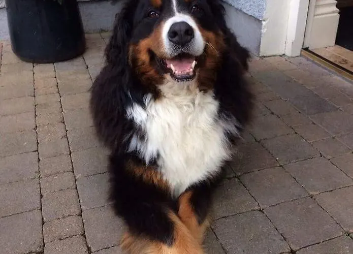 St Kyrans Szálloda 5*