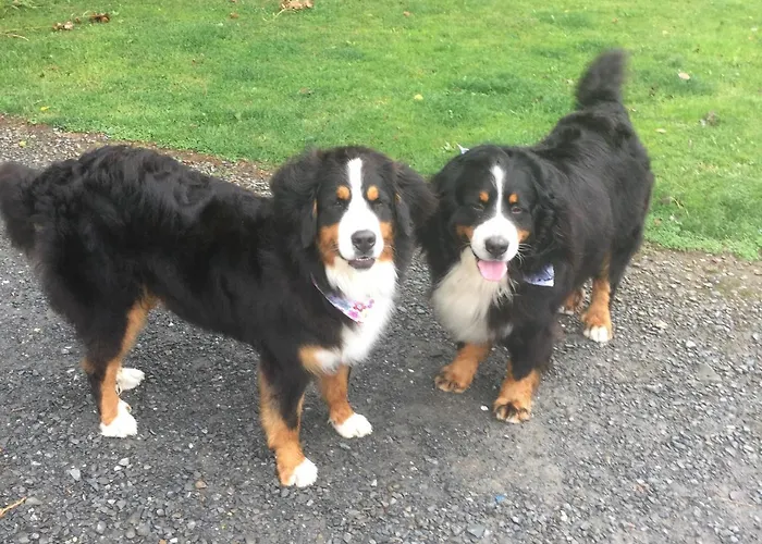 Szálloda St Kyrans Virginia